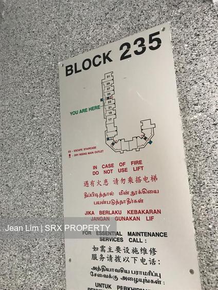 Blk 235 Bukit Batok East Avenue 5 (Bukit Batok), HDB 3 Rooms #168431372